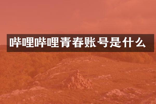 哔哩哔哩青春账号是什么