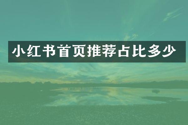 小红书首页推荐占比多少