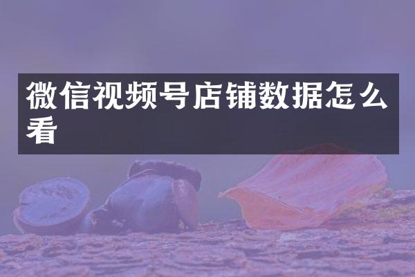 微信视频号店铺数据怎么看