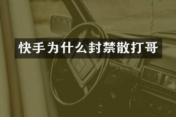 快手为什么封禁散打哥