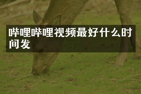 哔哩哔哩视频最好什么时间发