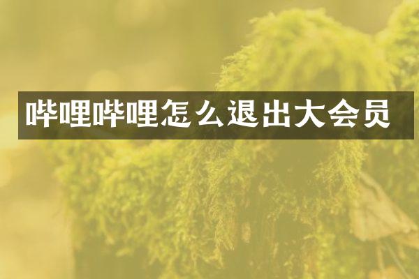 哔哩哔哩怎么退出大会员