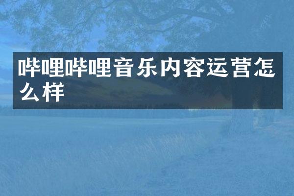 哔哩哔哩音乐内容运营怎么样