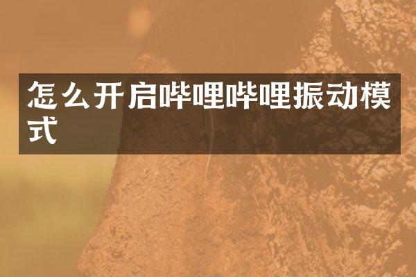 怎么开启哔哩哔哩振动模式