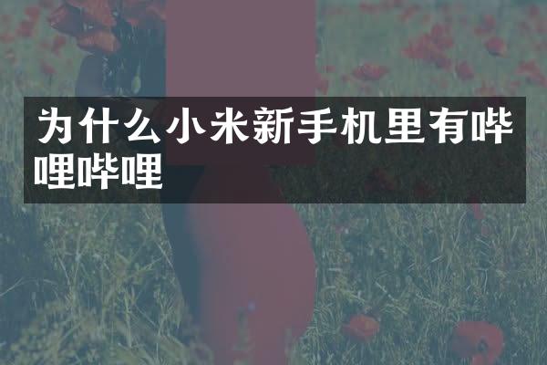 为什么小米新手机里有哔哩哔哩