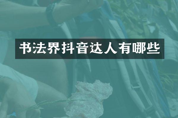 书法界抖音达人有哪些