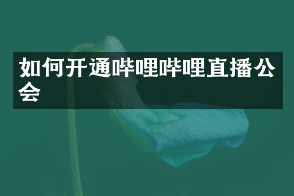 如何开通哔哩哔哩直播公会