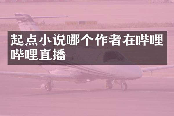起点小说哪个作者在哔哩哔哩直播