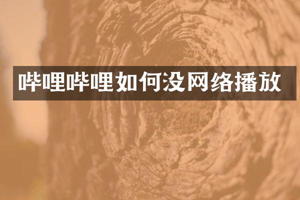 哔哩哔哩如何没网络播放
