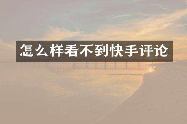 怎么样看不到快手评论