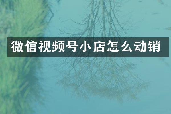 微信视频号小店怎么动销