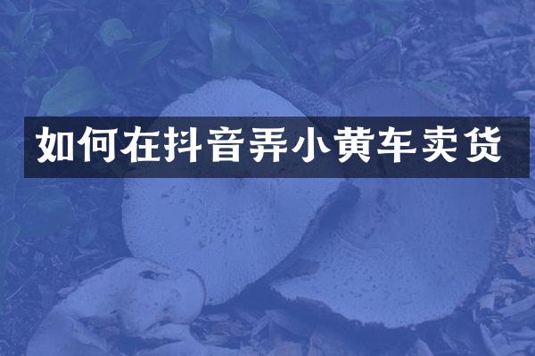 如何在抖音弄小黄车卖货