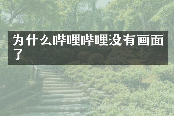 为什么哔哩哔哩没有画面了