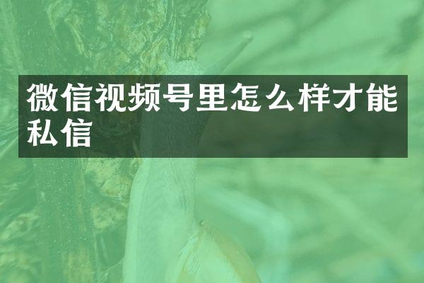 微信视频号里怎么样才能私信