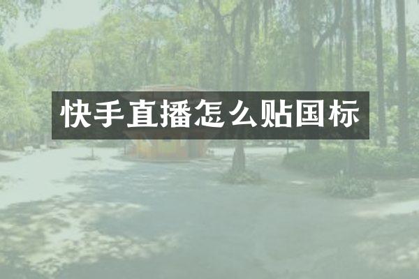 快手直播怎么贴国标