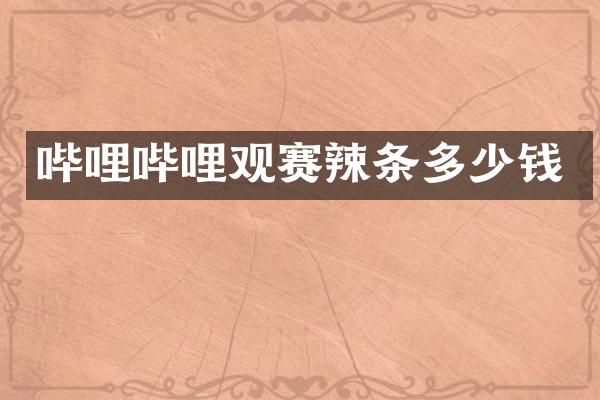 哔哩哔哩观赛辣条多少钱