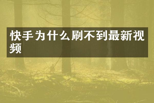 快手为什么刷不到最新视频