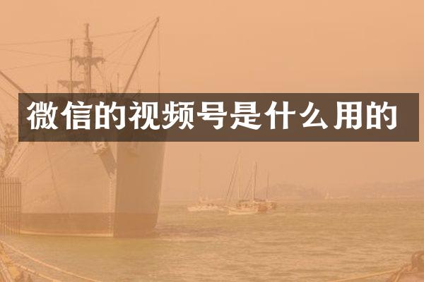 微信的视频号是什么用的
