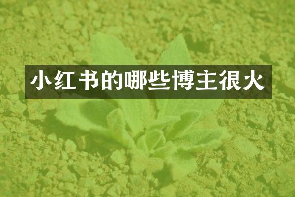 小红书的哪些博主很火