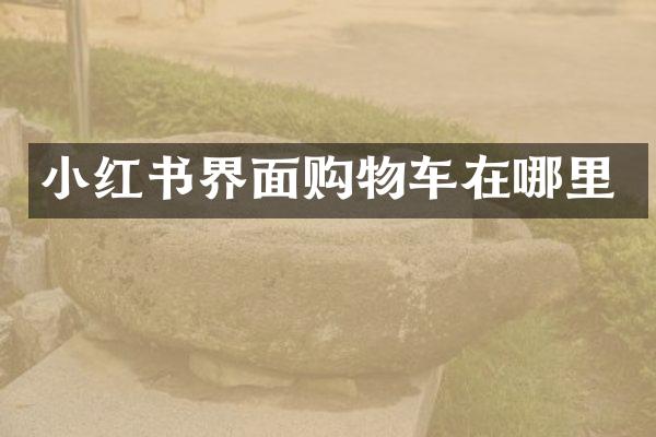 小红书界面购物车在哪里