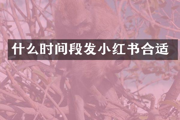 什么时间段发小红书合适