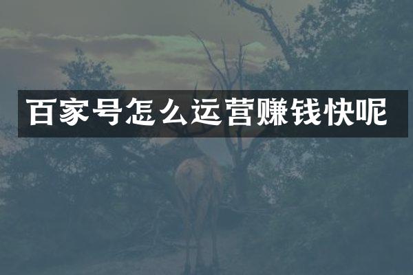 百家号怎么运营赚钱快呢