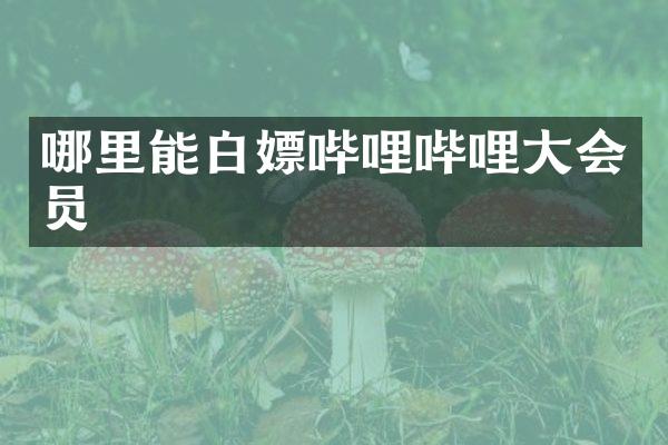 哪里能白嫖哔哩哔哩大会员