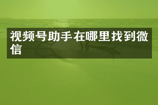视频号助手在哪里找到微信