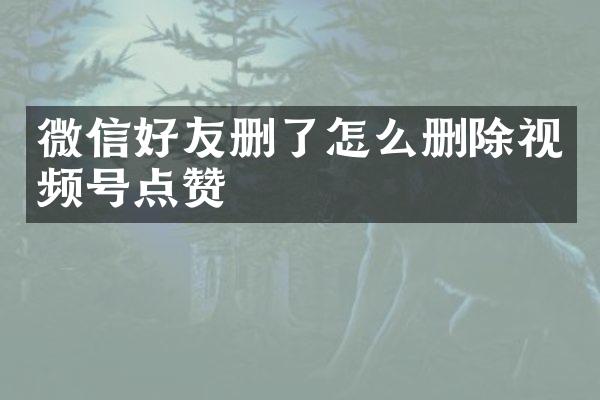 微信好友删了怎么删除视频号点赞