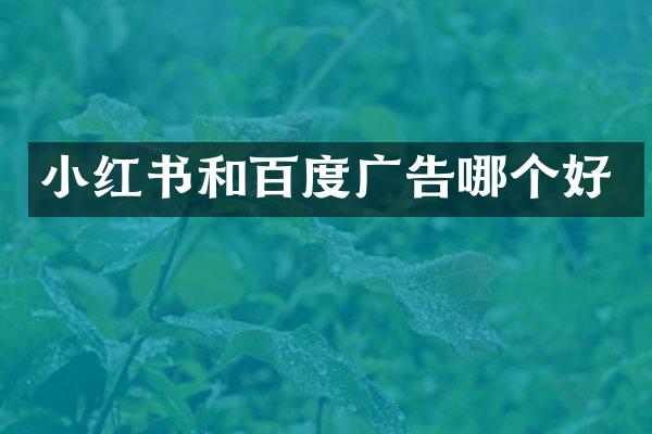 小红书和百度广告哪个好