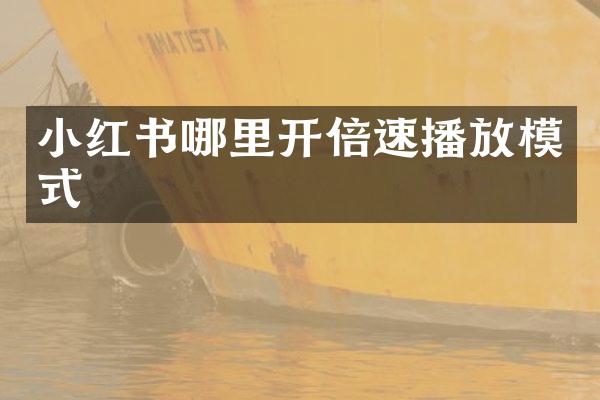 小红书哪里开倍速播放模式