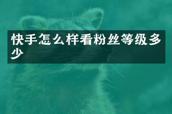 快手怎么样看粉丝等级多少