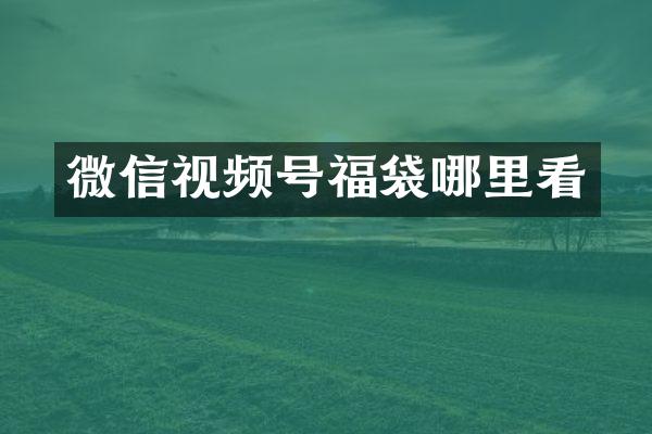 微信视频号福袋哪里看