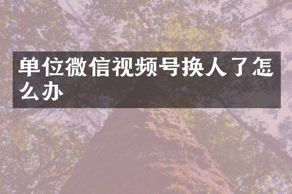 单位微信视频号换人了怎么办