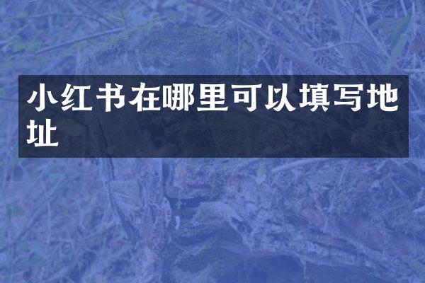 小红书在哪里可以填写地址
