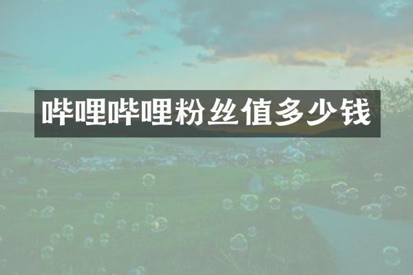 哔哩哔哩粉丝值多少钱