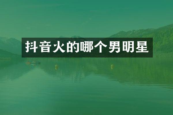 抖音火的哪个男明星