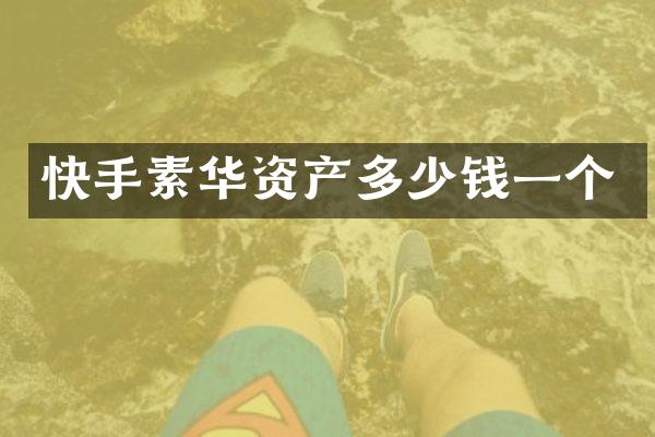 快手素华资产多少钱一个