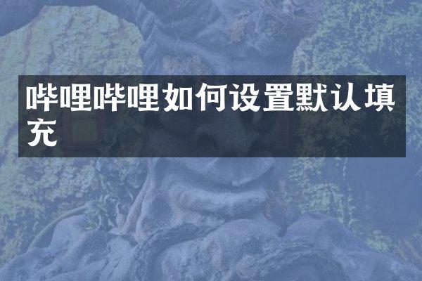哔哩哔哩如何设置默认填充