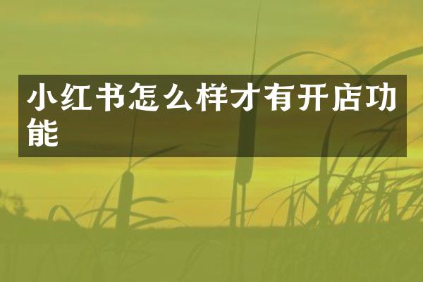 小红书怎么样才有开店功能