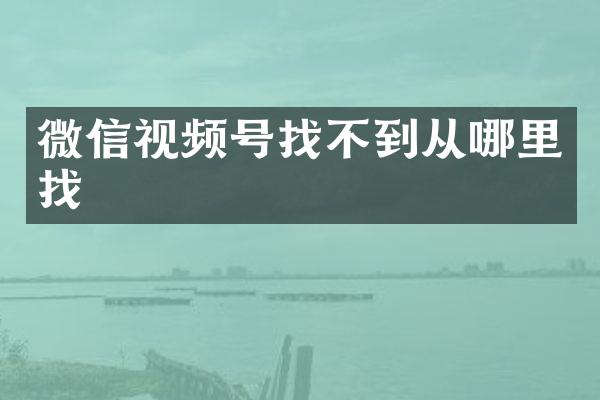 微信视频号找不到从哪里找