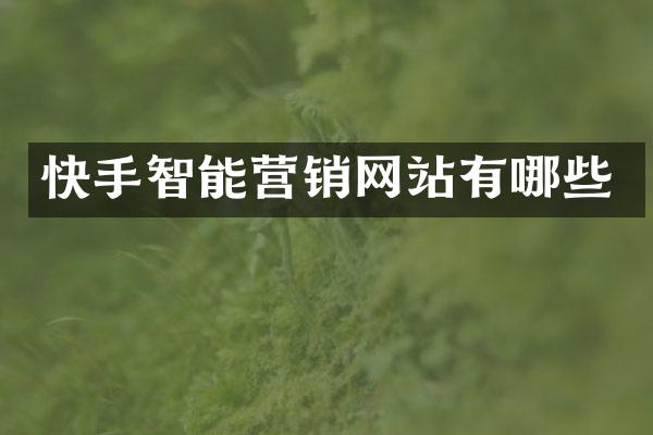 快手智能营销网站有哪些