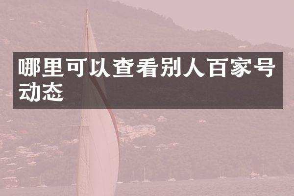 哪里可以查看别人百家号动态