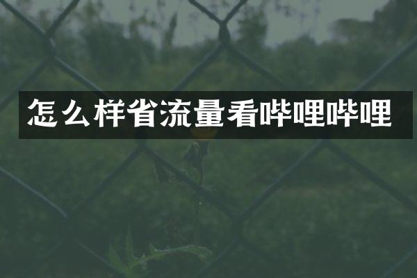 怎么样省流量看哔哩哔哩