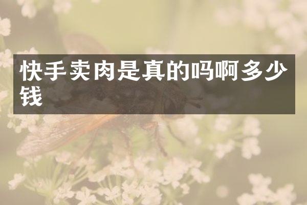 快手是真的吗啊多少钱