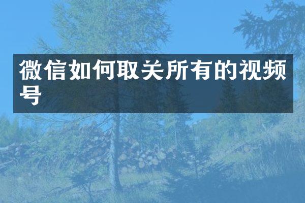 微信如何取关所有的视频号