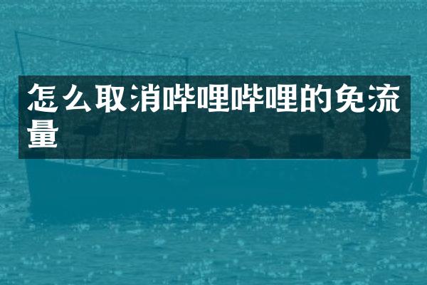 怎么取消哔哩哔哩的免流量