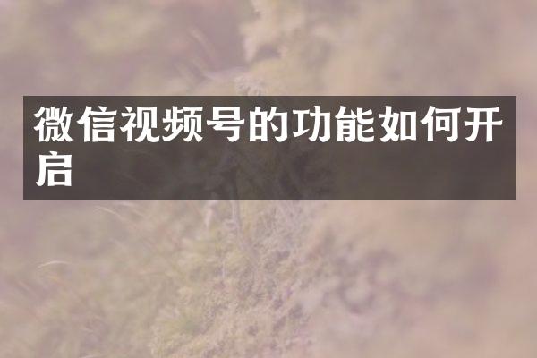 微信视频号的功能如何开启