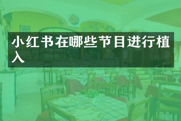 小红书在哪些节目进行植入