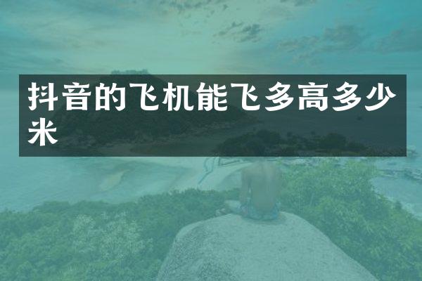 抖音的飞机能飞多高多少米
